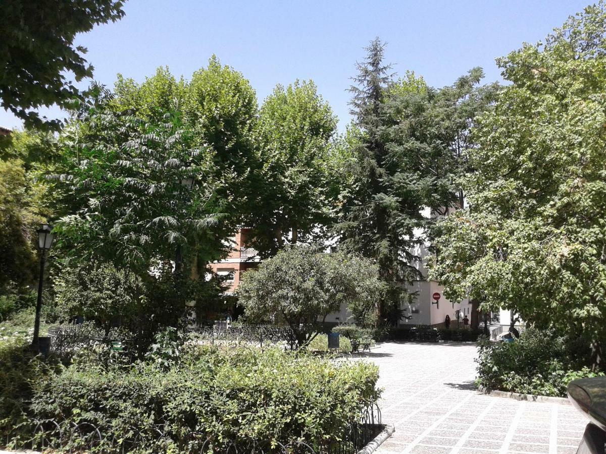 Catedral Centro Appartamento *